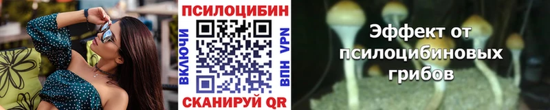 цена   Байкальск  нарко площадка официальный сайт  Псилоцибиновые грибы Psilocybe 
